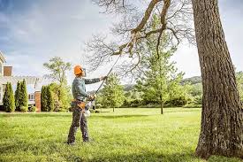 Leaf Removal in Lyons, OR